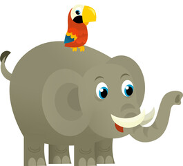 Cartoon wild animal happy young elephant and parrot on white background - illustration for the children