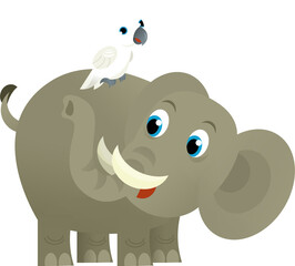 Obraz na płótnie Canvas Cartoon wild animal happy young elephant and parrot on white background - illustration for the children