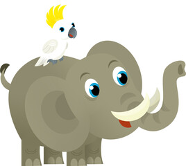 Cartoon wild animal happy young elephant and parrot on white background - illustration for the children