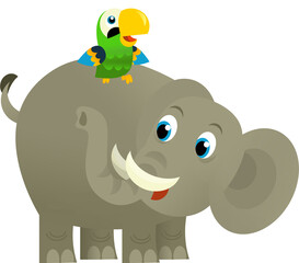 Cartoon wild animal happy young elephant and parrot on white background - illustration for the children