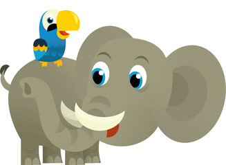 Cartoon wild animal happy young elephant and parrot on white background - illustration for the children