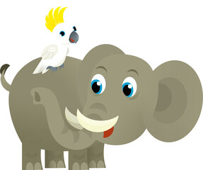 Cartoon wild animal happy young elephant and parrot on white background - illustration for the children