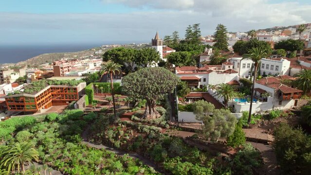 Aerial view of Icod de los Vinos town, Tenerife, Canary Islands, Spain