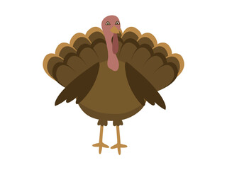 turkey_cartoon2_png