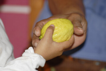 vegetables that are cooked as food in the towns of Mexico