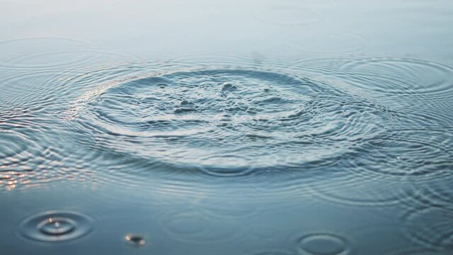 Stone falling into the water creating ripples on the surface. Slow motion. 