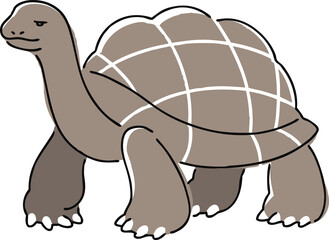 手描きのゾウガメのイラスト