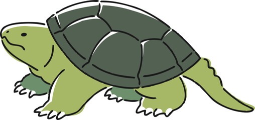 手描きのカミツキガメのイラスト