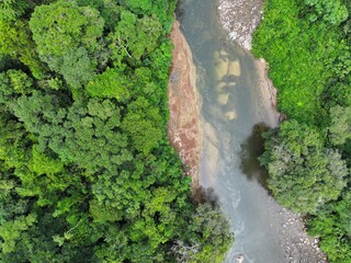 Tropical river in the Amazon rainforest