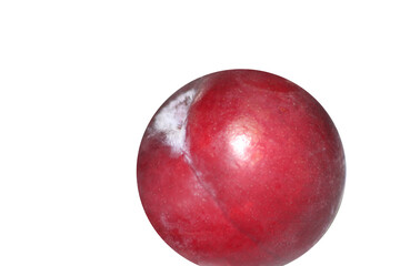 plum isolated. plum on a white background. closeup on a plum.