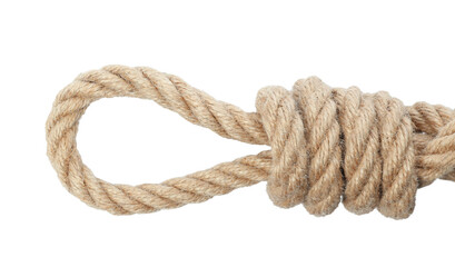 Hemp rope with loop isolated on white, top view