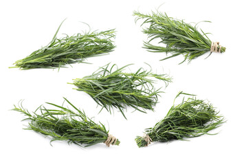 Set with bunches of green tarragon isolated on white