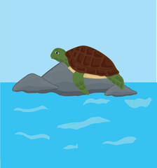 Turtle vector illustration. Hand drawing turtle vector