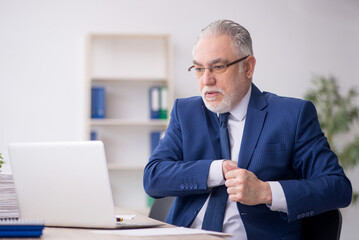 Old male employee working in the office