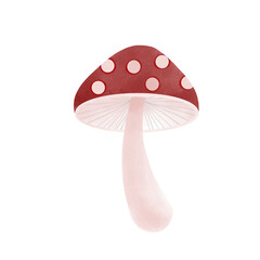 mushroom