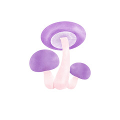 Mushroom