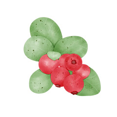 Red currant