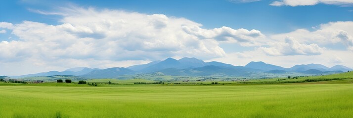 Panoramic natural landscape with green grass field, blue sky with clouds and mountains in background. Panorama summer spring meadow.
