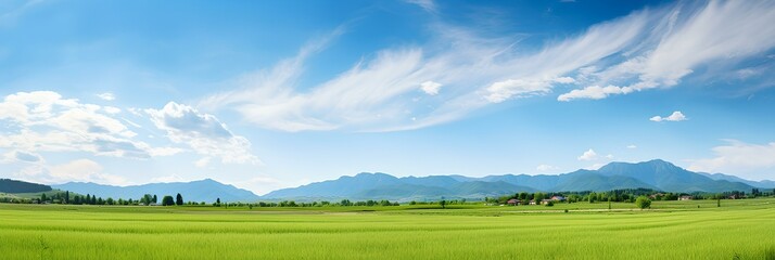 Panoramic natural landscape with green grass field, blue sky with clouds and and mountains in background. Panorama summer spring meadow.
