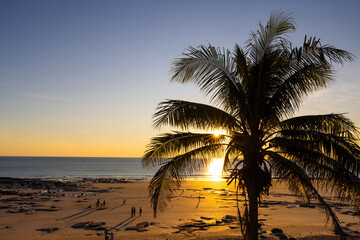 Sun star through a Palm tree at sunset, Broome, Western Australia