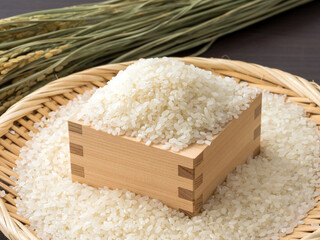 収穫した米のイメージ。米・稲穂。