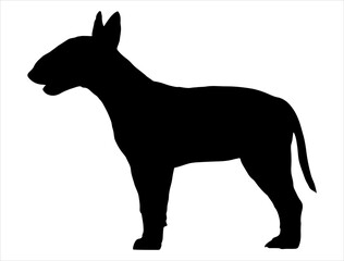 Bull terrier dog silhouette vector art white background