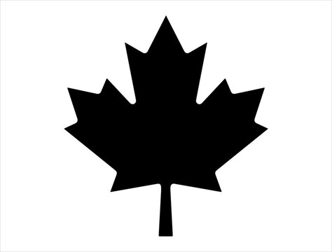 Canadian maple leaf silhouette vector art white background