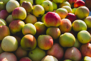 Fresh apples at a market stall