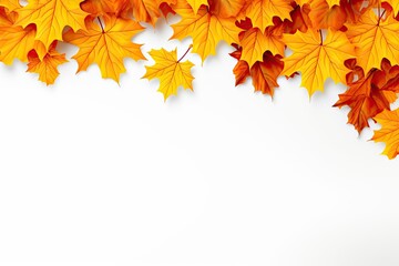 Autumn palette. Vibrant tapestry of maple leaves on white background. Fall finest. Frame of leaf splendor. October canvas