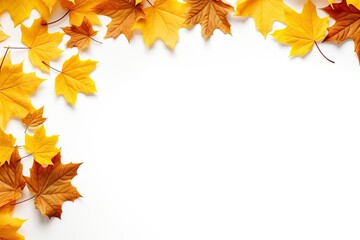 Naklejka na ściany i meble Autumn palette. Vibrant tapestry of maple leaves on white background. Fall finest. Frame of leaf splendor. October canvas