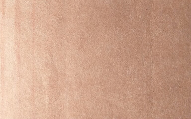 Recycled paper cardboard background. Beige color