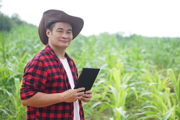Fototapeta premium Handsome Asian man farmer is in garden, wears hat, red plaid shirt, holds smart tablet. Feel confident.Concept, Agriculture occupation, inspect, survey and research about agricultural crops. 