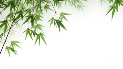 Fototapeta na wymiar bamboo leaves. Generative Ai