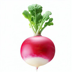 Red radish isolated on white background with clipping path. Healthy food concept. fresh red radish isolated on white background Generative AI