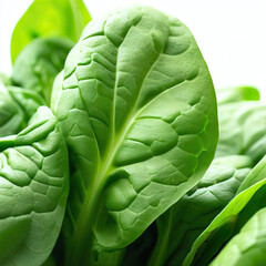 Obraz premium Heap of baby spinach leaves isolated on white background. Fresh green spinach. Generative AI 