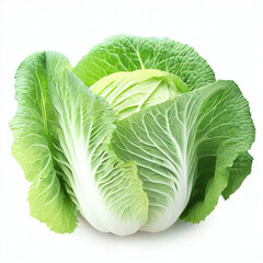 Obraz premium Cabbage isolated on white background. The clipping path is included in the file. Generative AI 