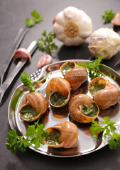 Snails wiht butter and parsley- French traditional food