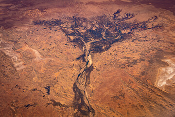 Aerial view of canyon and rivers resembling the shape of a tree of life, Northern Territory, Australia - obrazy, fototapety, plakaty