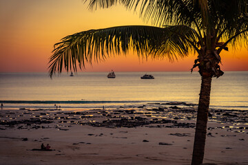 Obraz premium Palm tree at sunset at Cable beach in Broome, Western Australia