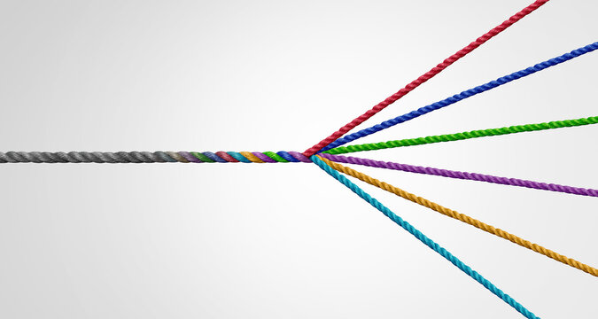 Diversification strategy as a business concept to diversify as a success plan for market growth as a group of ropes representing diversity and a portfolio with variety spreading out to manage risk.