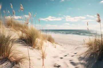 sand dunes on the beach