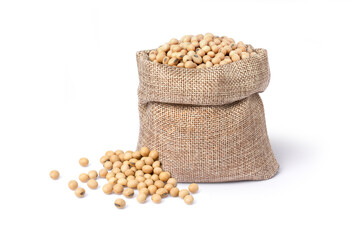 Soybean on white background