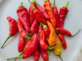 fresh red hot chilies peppers and very spicy, in Indonesia it called cabai rawit or cengek domba