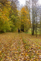 a man and his dog walking through the colourful autumn leaves in the park