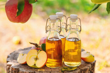 Apple cider vinegar in the garden. Selective focus.