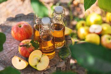 Apple cider vinegar in the garden. Selective focus.