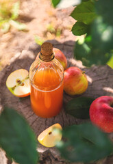 Apple cider vinegar in the garden. Selective focus.