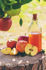 Apple cider vinegar in the garden. Selective focus.