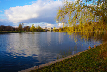 Tineretului Park lake view in the autumn, Bucharest