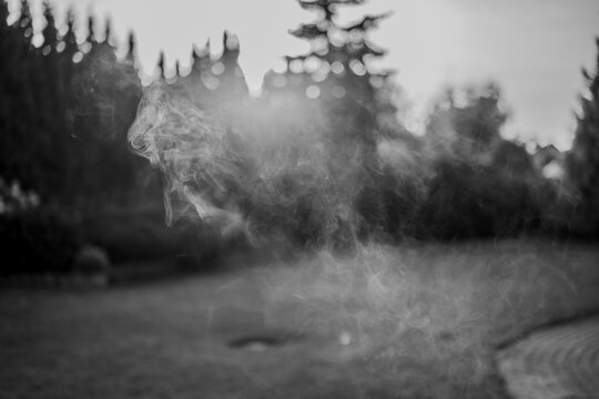 Black and white photography of an smoke in the garden and blurred background